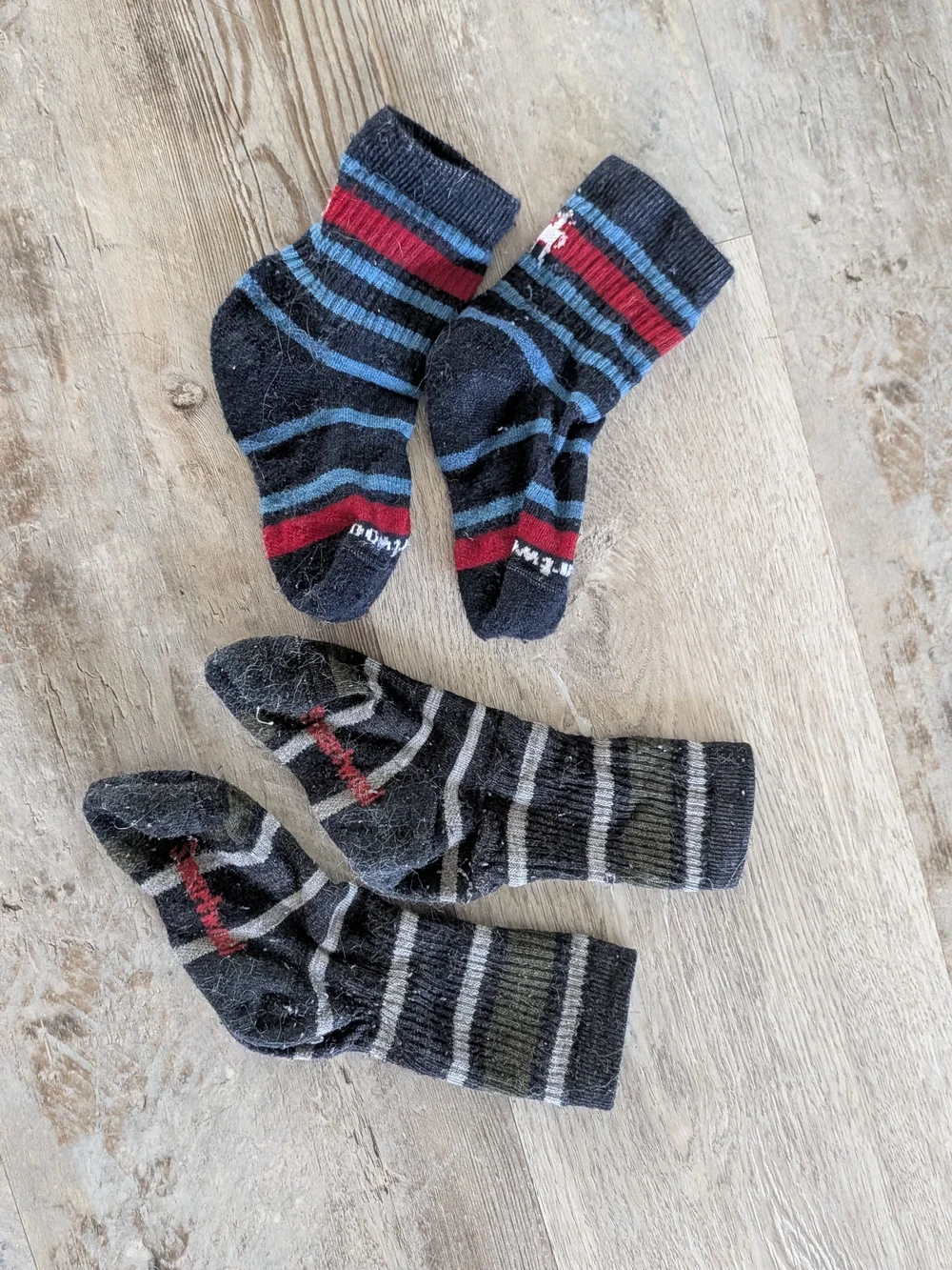 Smartwool Kids Striped Crew Socks - Black, Gray, Blue & Red